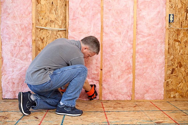 Types of Insulation We Offer in South Congaree, SC